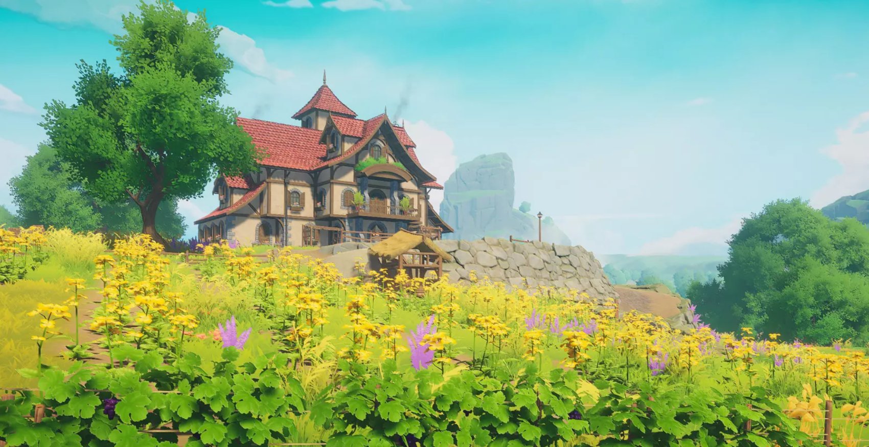 the farm: a scrappy farmhouse on a hill of yellow wildflowers